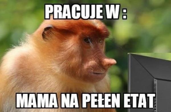 Pracuje w: Mama na pełny etata