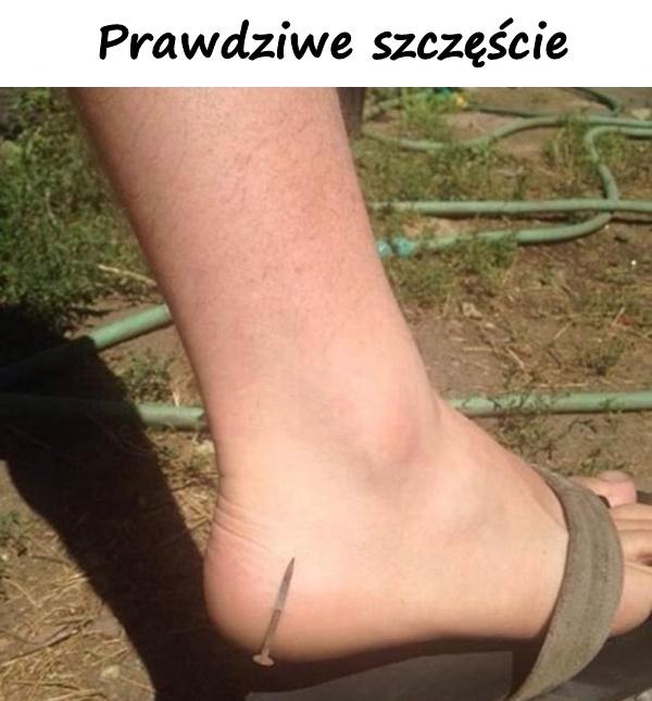 Prawdziwe szczęście