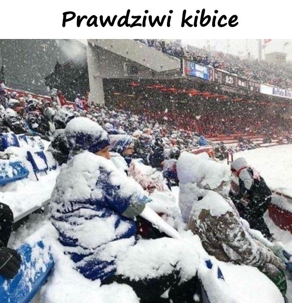 Prawdziwi kibice