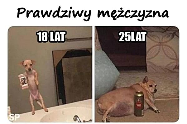 Prawdziwy mężczyzna