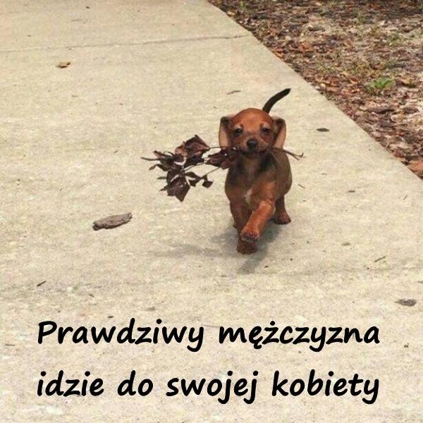 Prawdziwy mężczyzna idzie do swojej kobiety