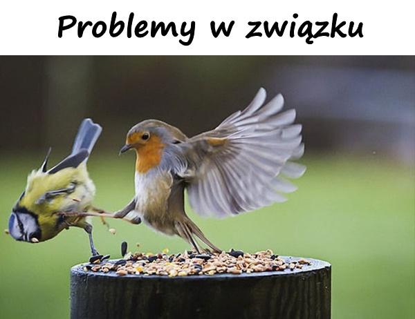 Problemy w związku