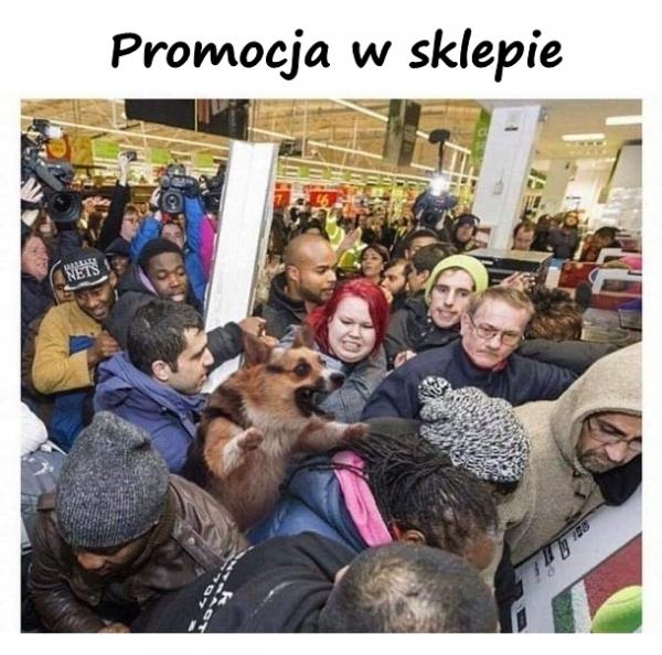 Promocja w sklepie