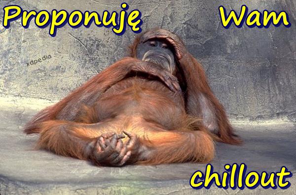 Proponuję Wam chillout