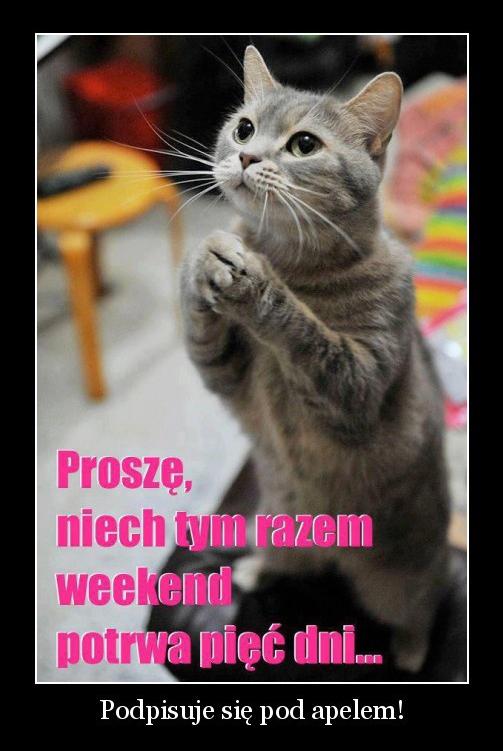 Proszę niech tym razem weekend potrwa 5 dni... Kto