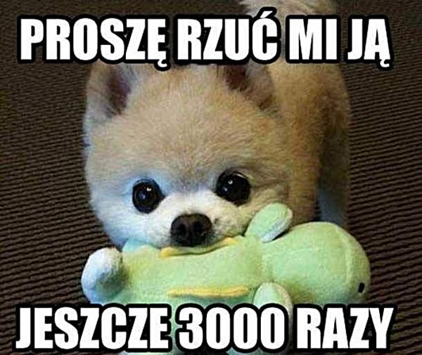 Proszę rzuć mi ją jeszcze 3000 razy