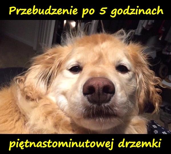 Przebudzenie po 5 godzinach, piętnastominutowej drzemki