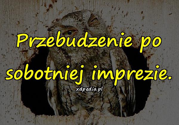 Przebudzenie po sobotniej imprezie