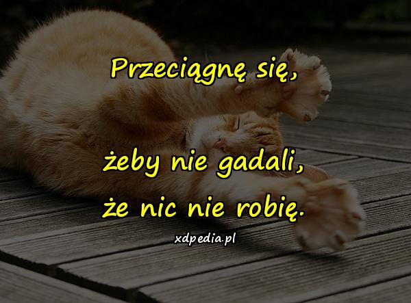 Przeciągnę się, żeby nie gadali, że nic nie robię