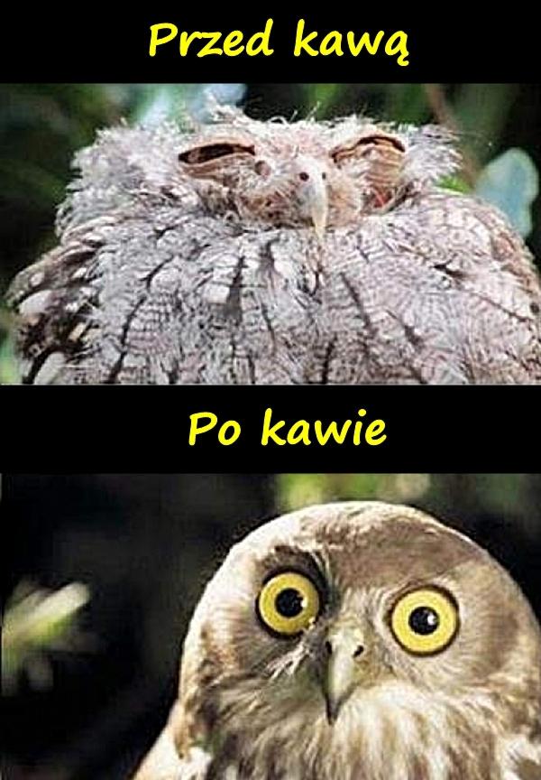 Przed kawą i po kawie