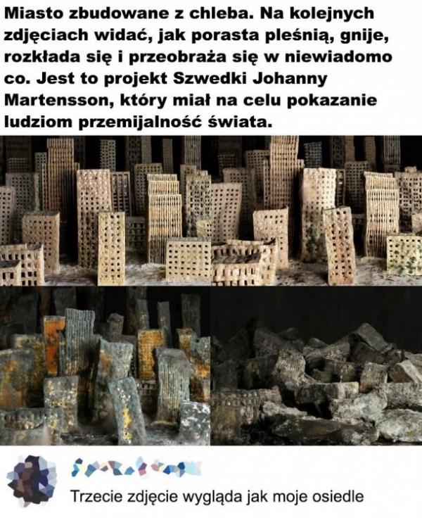 Przemijalność świata