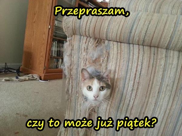 Przepraszam, czy to może już piątek