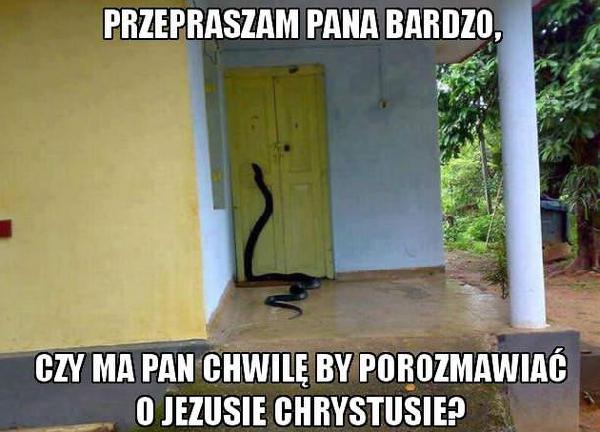 Przepraszam Pana bardzo, czy ma Pan chwilę by porozmawiać o