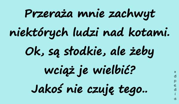 Przeraża mnie zachwyt niektórych ludzi nad kotami. Ok, są