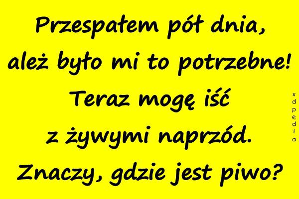 Przespałem pół dnia, ależ było mi to potrzebne! Teraz mogę