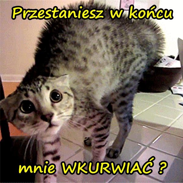 Przestaniesz w końcu mnie WKURRWIAĆ