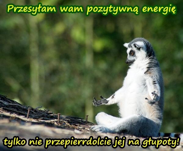 Przesyłam wam pozytywną energię, tylko nie przepierrdolcie