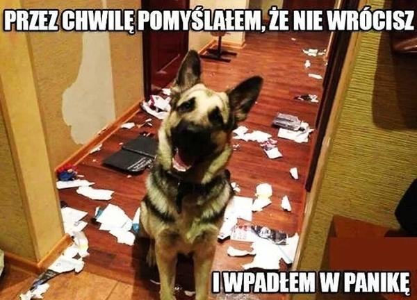 Przez chwilę pomyślałem, że nie wrócisz i wpadłem w panikę