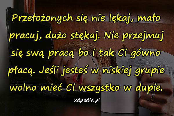 Przełożonych się nie lękaj, mało pracuj, dużo stękaj. Nie