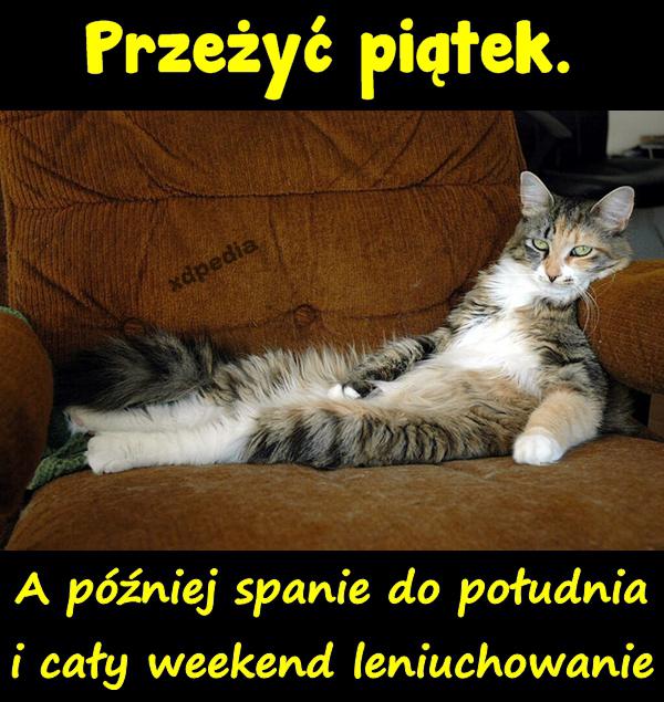 Przeżyć piątek. A później spanie do południa i cały weekend