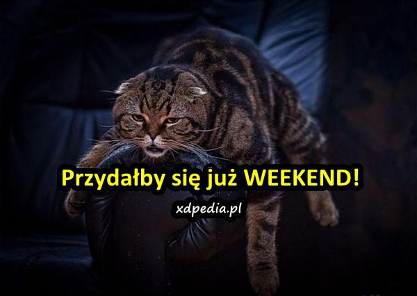 Przydałby się już WEEKEND