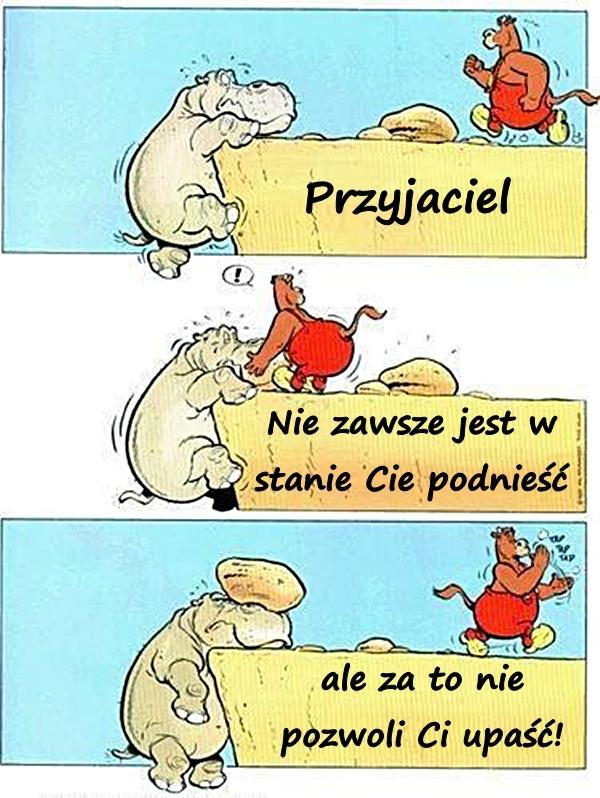 Przyjaciel. Nie zawsze jest w stanie Cie podnieść, ale za