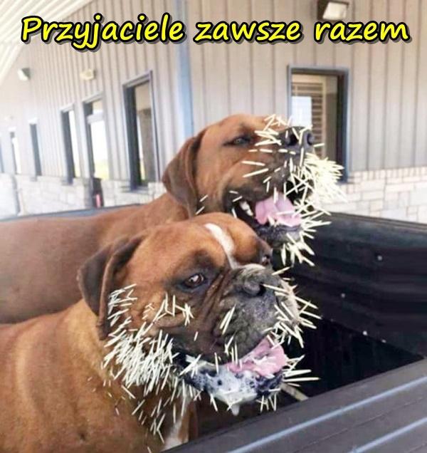 Przyjaciele zawsze razem