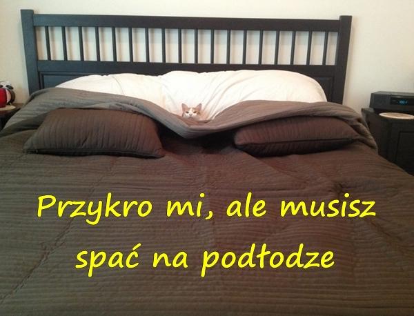 Przykro mi, ale musisz spać na podłodze