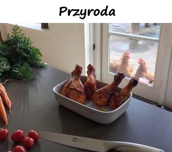 Przyroda