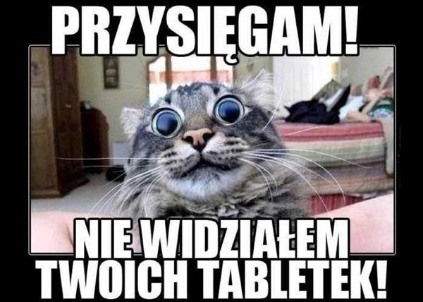 Przysięgam! Nie widziałem Twoich tabletek