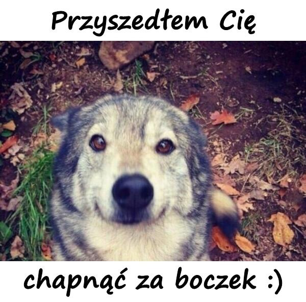 Przyszedłem Cię chapnąć za boczek