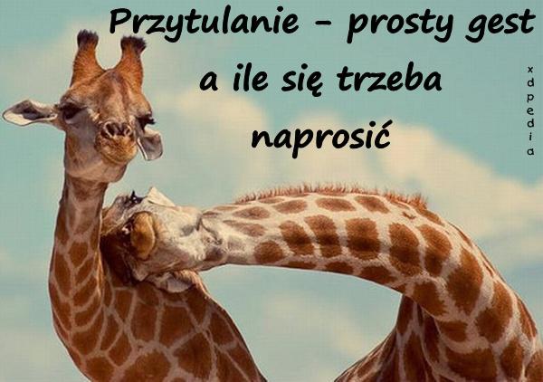 Przytulanie - prosty gest a ile się trzeba naprosić