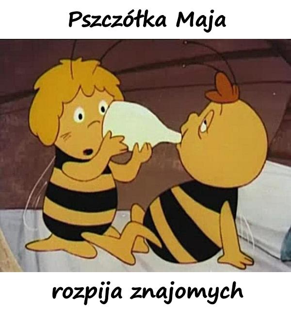 Pszczółka Maja rozpija znajomych