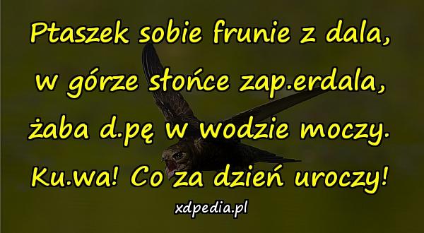 Ptaszek sobie frunie z dala, w górze słońce zap.erdala