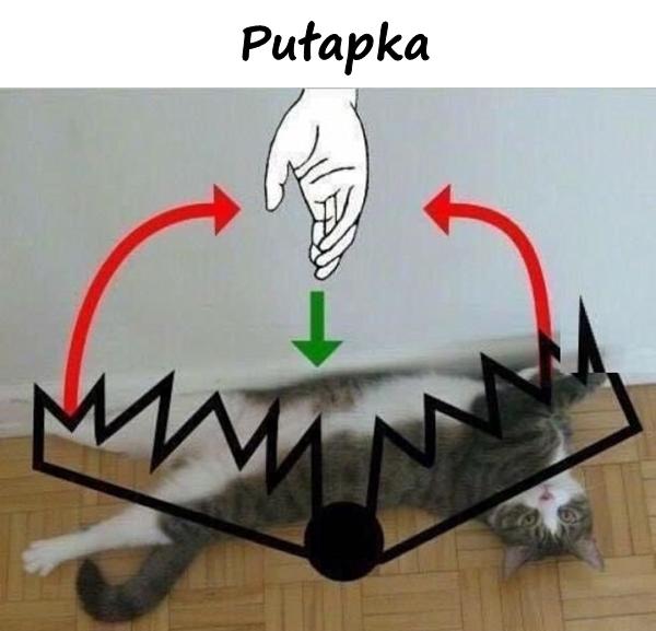 Pułapka