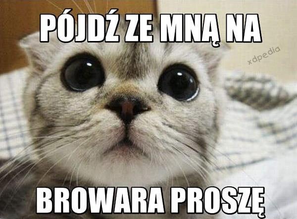 Pójdź ze mną na browar, proszę