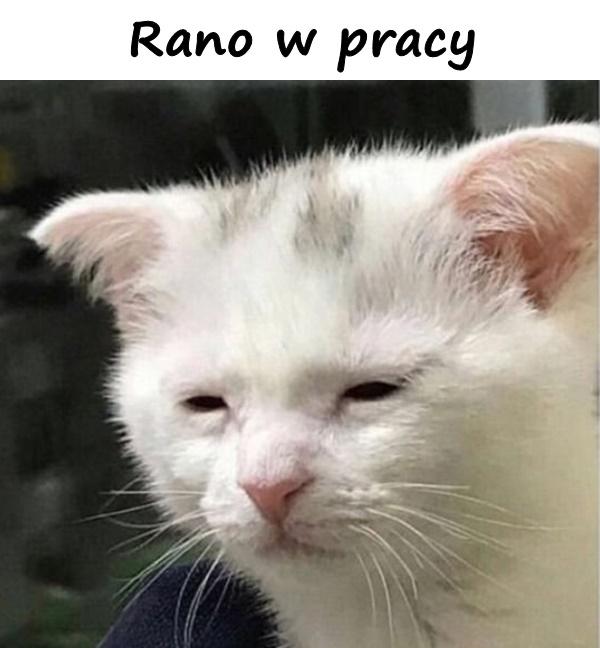 Rano w pracy