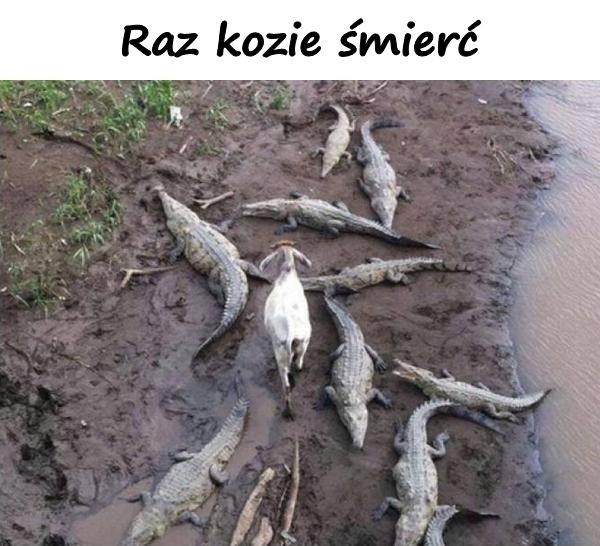 Raz kozie śmierć