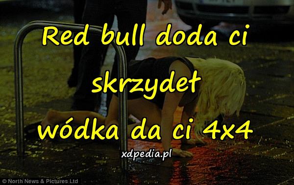 Red bull doda ci skrzydeł wódka da ci 4x