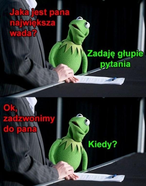 Rekrutacja - Jaka jest Pana największa wada? - Zadaje