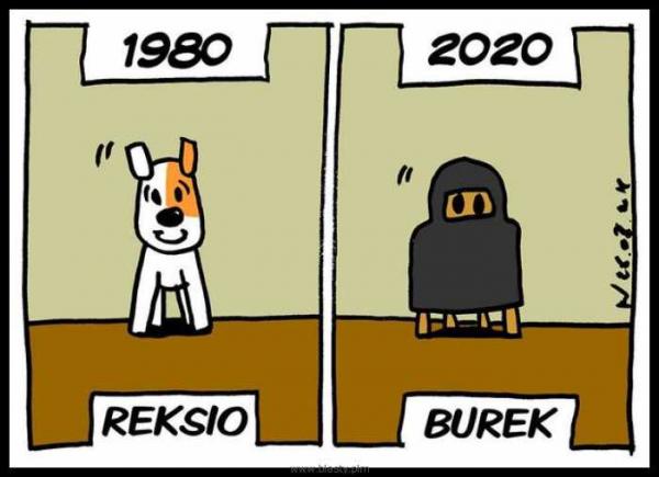 Reksio 1980 vs burek