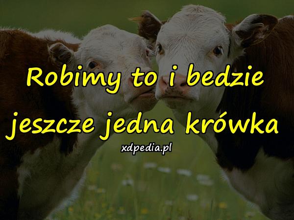 Robimy to i bedzie jeszcze jedna krówka