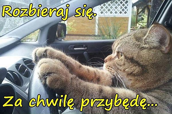 Rozbieraj się. Za chwilę przybędę