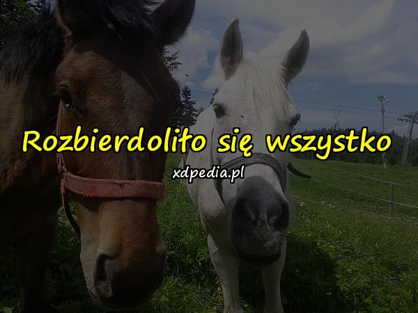 Rozbierdoliło się wszystko