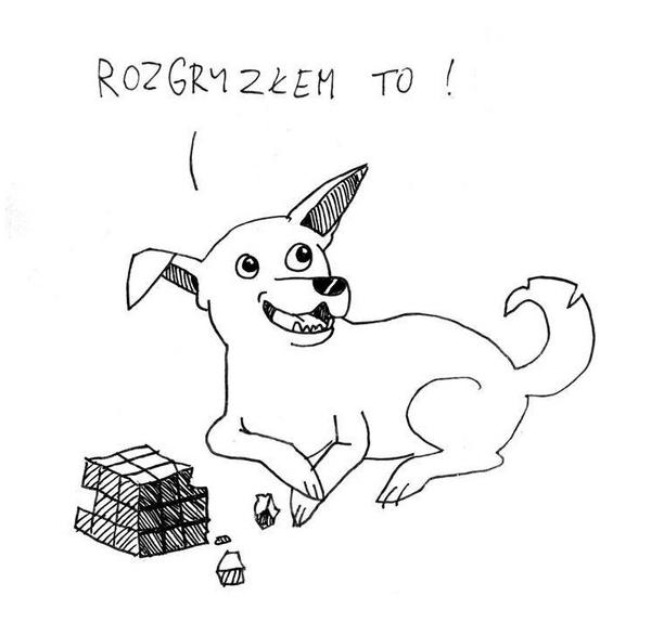 Rozgryzłem to