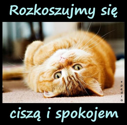 Rozkoszujmy się ciszą i spokojem