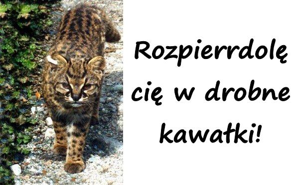 Rozpierrdolę cię w drobne kawałki