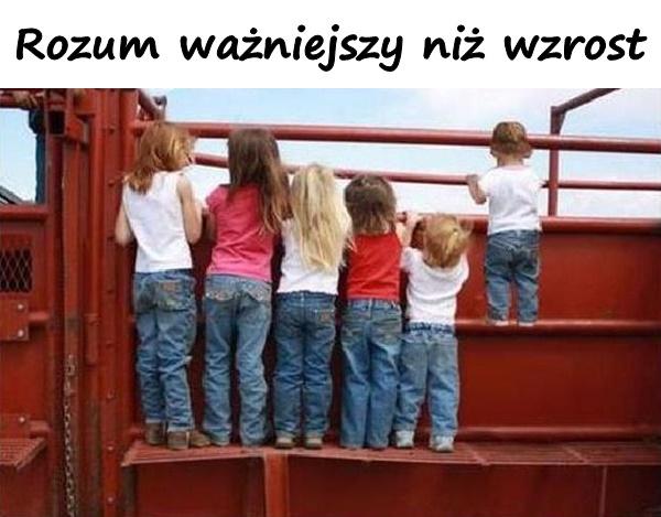 Rozum ważniejszy niż wzrost