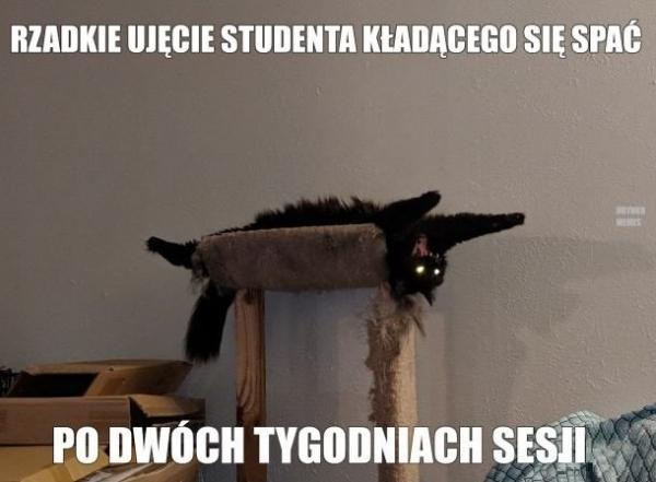 Rzadkie ujęcie studenta kładącego się spać po dwóch