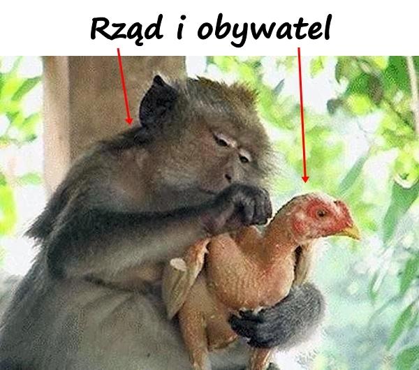 Rząd i obywatel